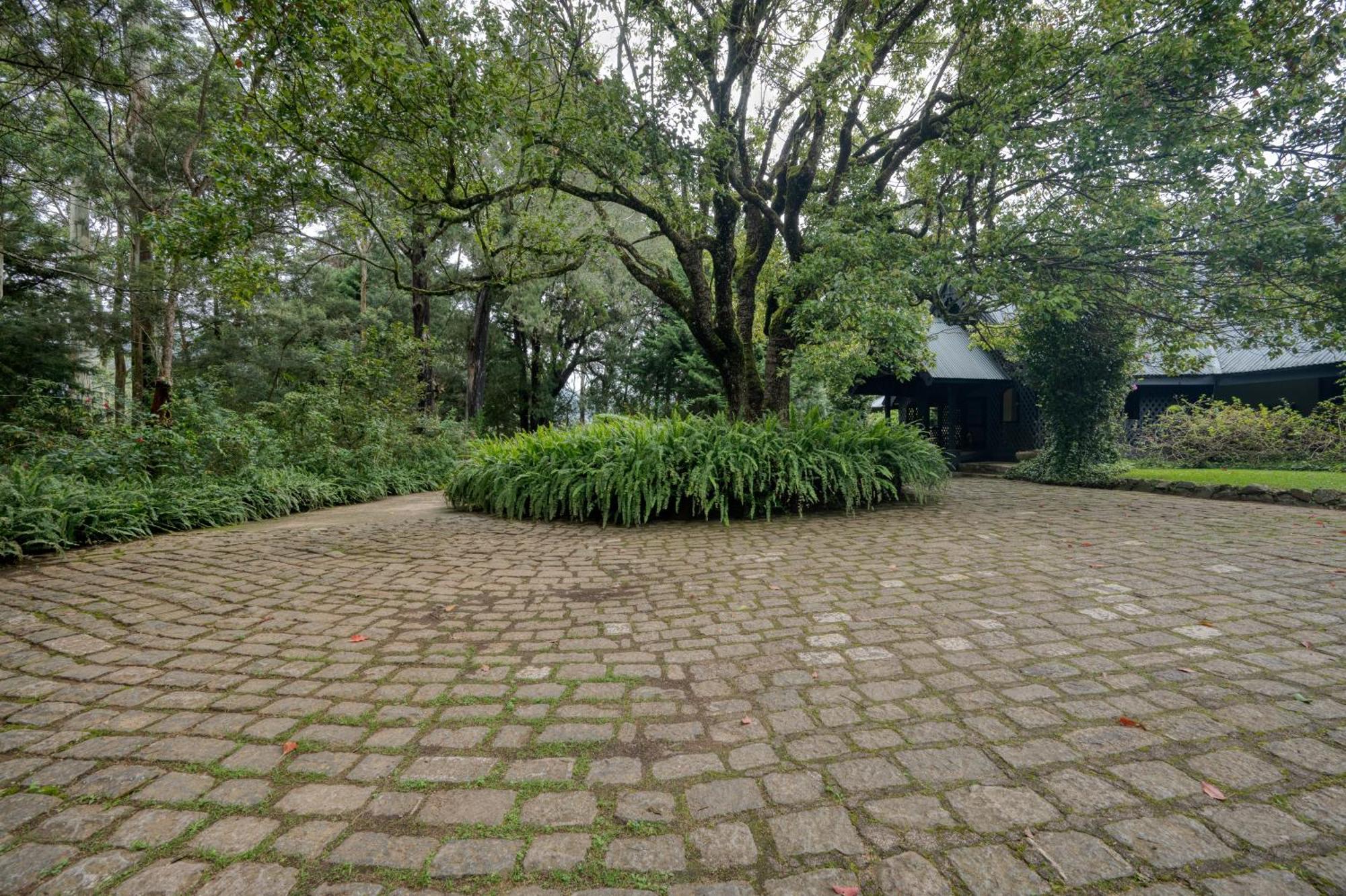 Ferncliff Bungalow Nuwara Eliya Exterior foto